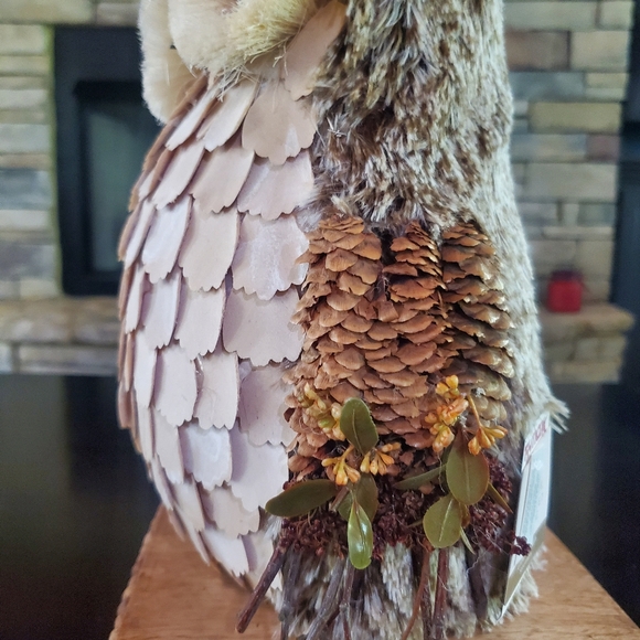 Gorgeous Woodland Owl Decor-NWT - Picture 4 of 7